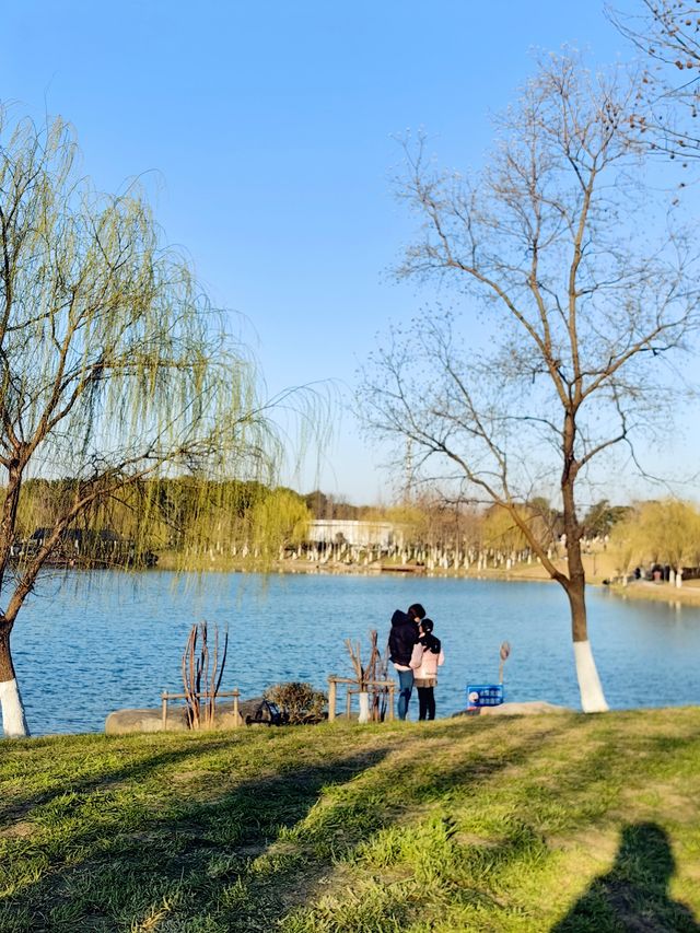 春日來賞花梅陇地區新開免費公園