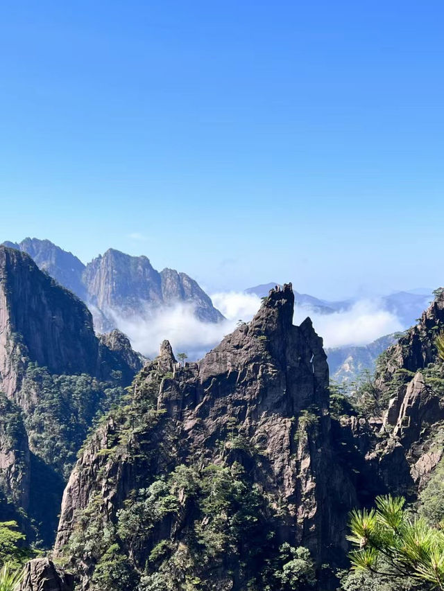 已識黃山真面目，主山猶放白雲遮