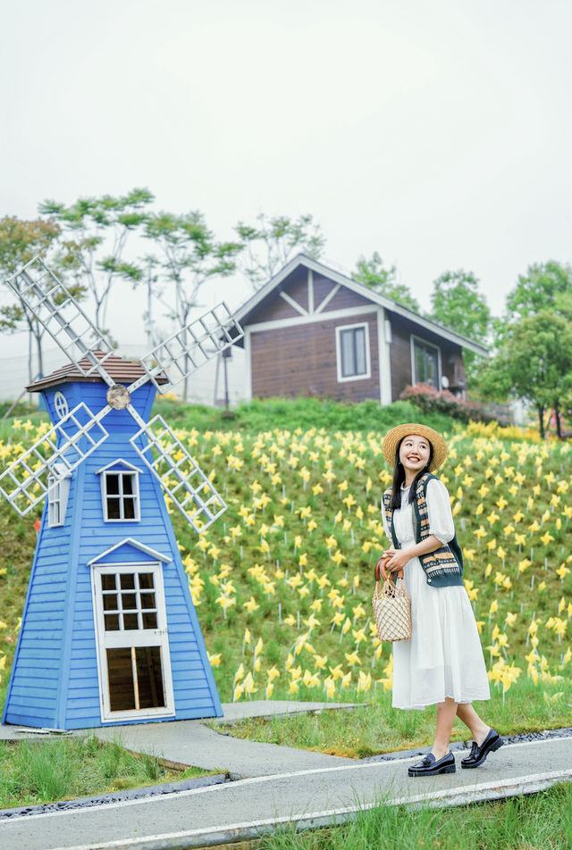 抓住重慶春天的尾巴 去鮮花盛開的山坡