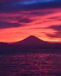 把愛留在富士山