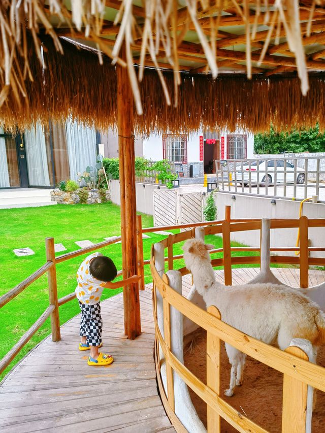 🦙This exquisite family-friendly guesthouse by the Yulong River is exceedingly suitable for those with children.