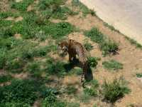 貴州第一動物王國——貴陽森林野生動物園