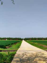蘭陵國家蔬菜公園 一站式遊玩好去處 推薦打卡！