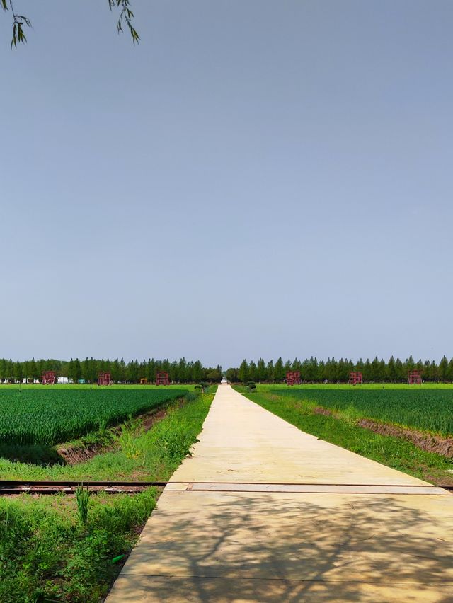 蘭陵國家蔬菜公園 一站式遊玩好去處 推薦打卡！