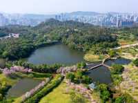 Explore the Enchantment of Xiamen Botanical Garden🌸🌿