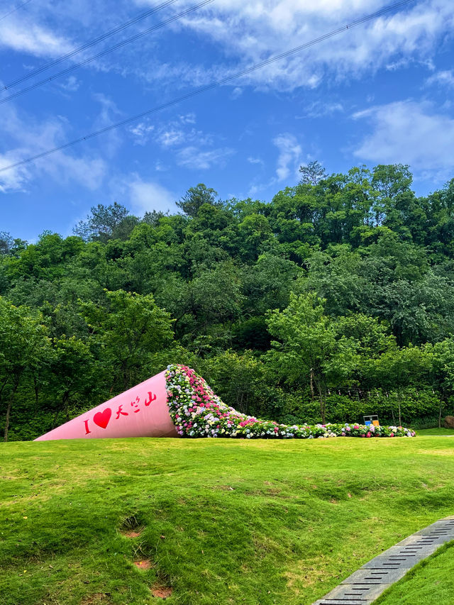 廈門天竺山桐花節0元門票！超詳細遊玩攻略！！