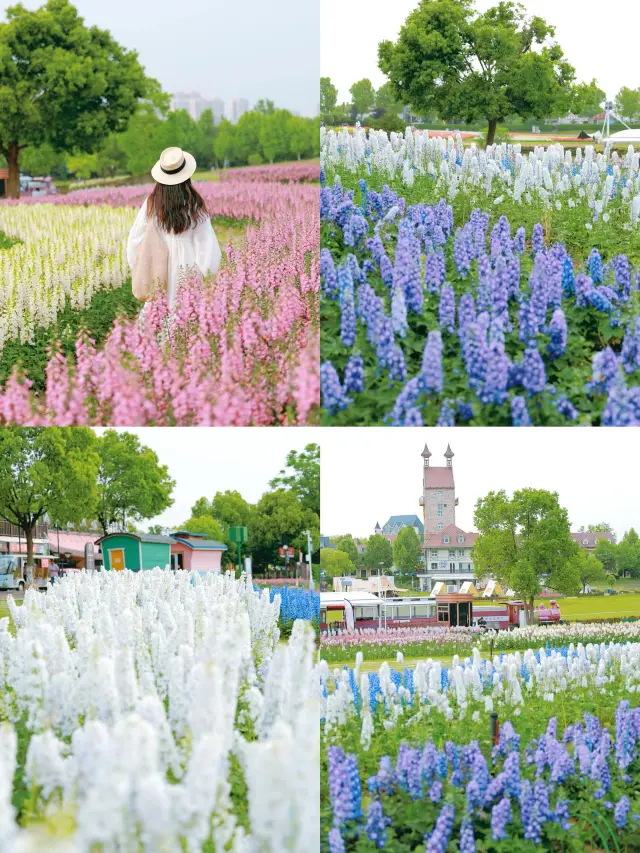 It's not Xinjiang, but in Wuhan! A sea of flowers like those from a Miyazaki anime has just been unveiled!