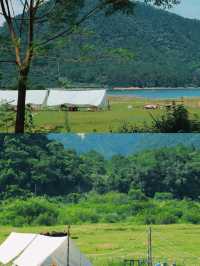 春日露營勝地:羅坑大草原的寧靜之旅