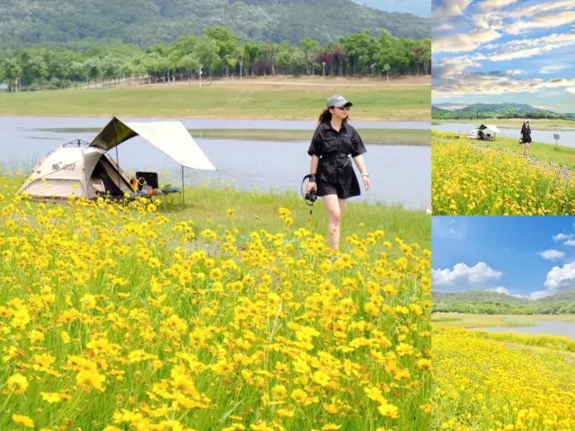 초신성 무인 캠핑장 우한에도 자기만의 알타이가 생겼어요