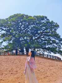 東川紅土地