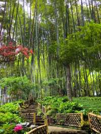 上海市中心的公園都這麼美的嘛！！