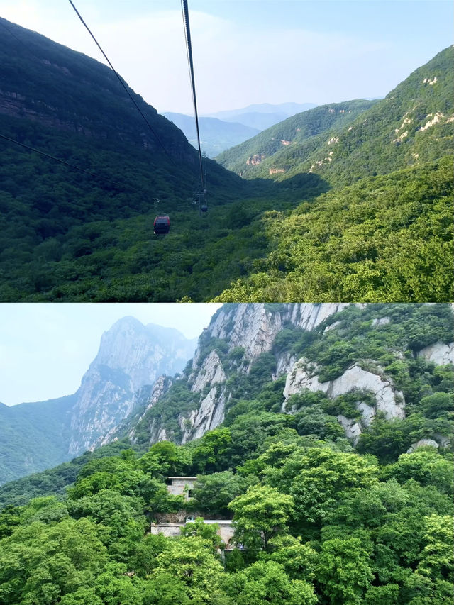 河南夏日遊，登嵩山，遊少林寺