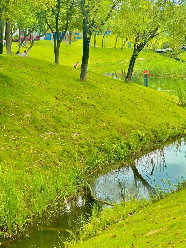 在成都！！！我唯一想去無數次的公園！！