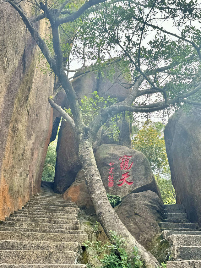 週末去哪兒019｜快閃塔山文化公園！