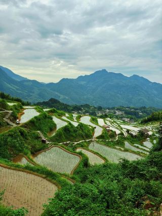 中國最美梯田 云和梯田