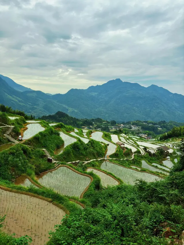 China's Most Beautiful Terraces: Yunhe Terraces