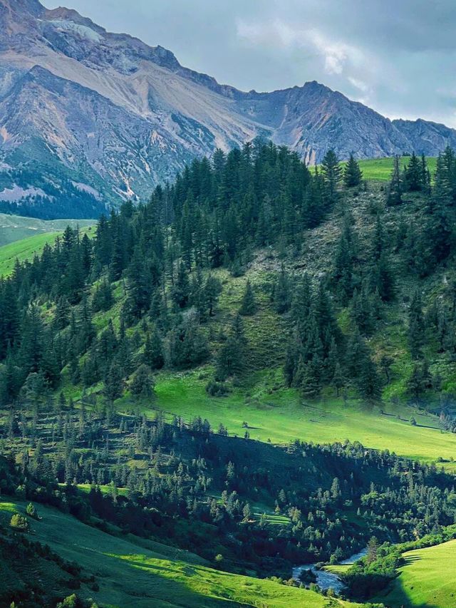 直到看見雪山與花海同框,才明白格聂有多美 直到看見雪山與花海同框,才明白格聂有多美