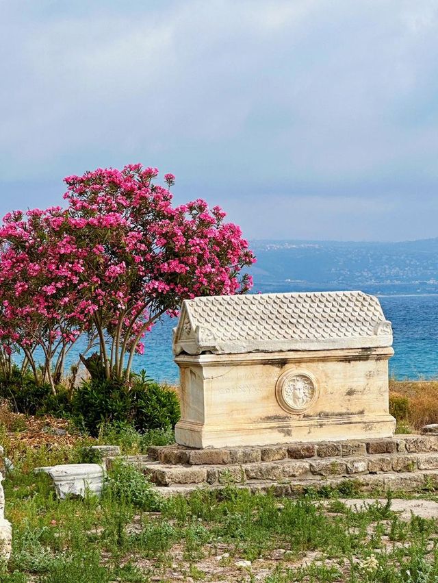 Ancient City of Tyre, Lebanon: A Brief Guide