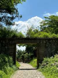 廈門洋麻山森林公園遊玩攻略！超詳細！
