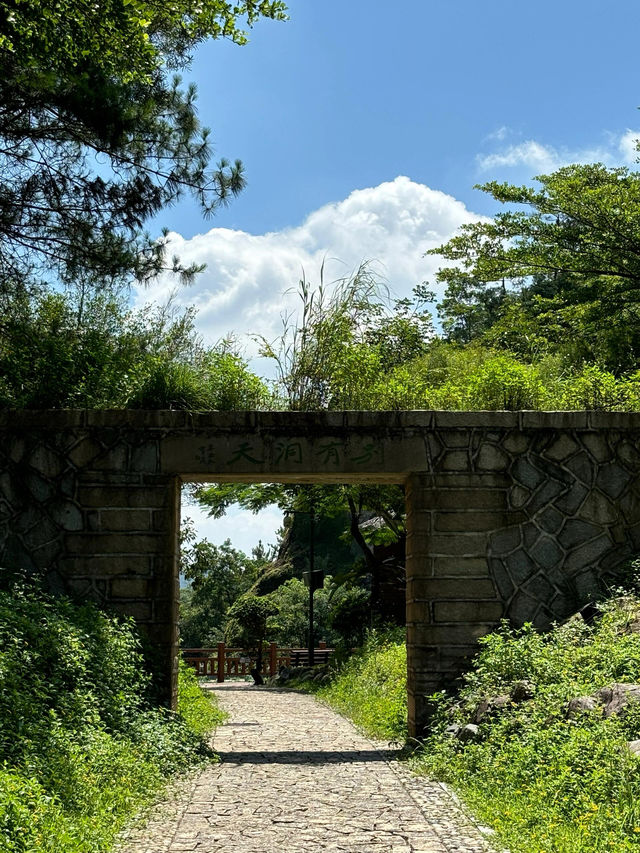 廈門洋麻山森林公園遊玩攻略！超詳細！
