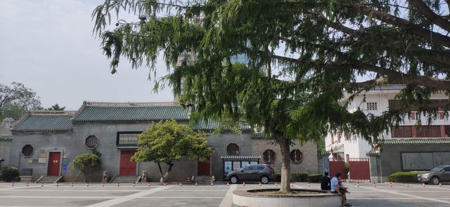 福建會館北門外看合歡，門內看睡蓮