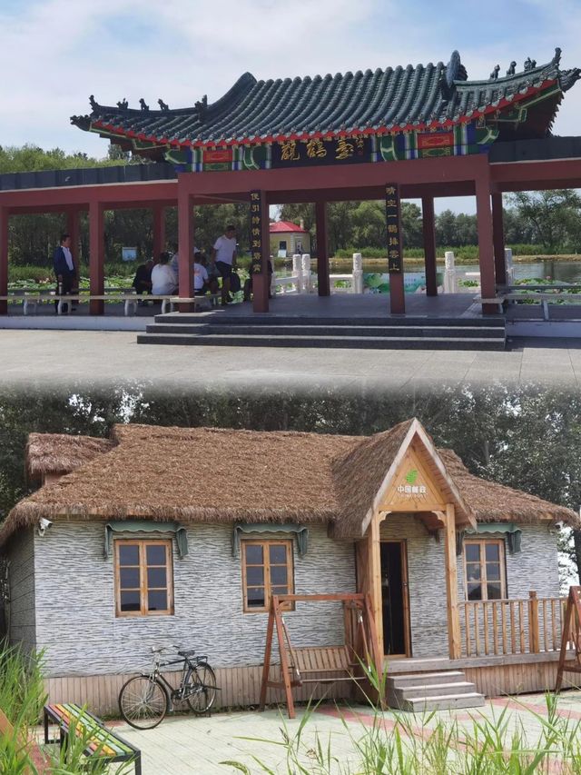 北緯47°的夏日奇遇記：齊齊哈爾探索之旅