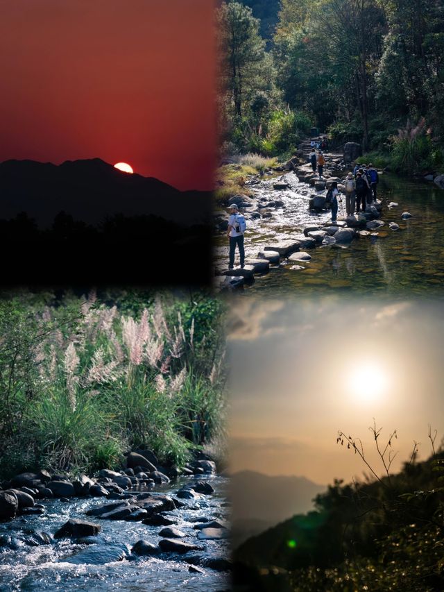夏季徒步去紹興一個唯美靜謐的山林古道