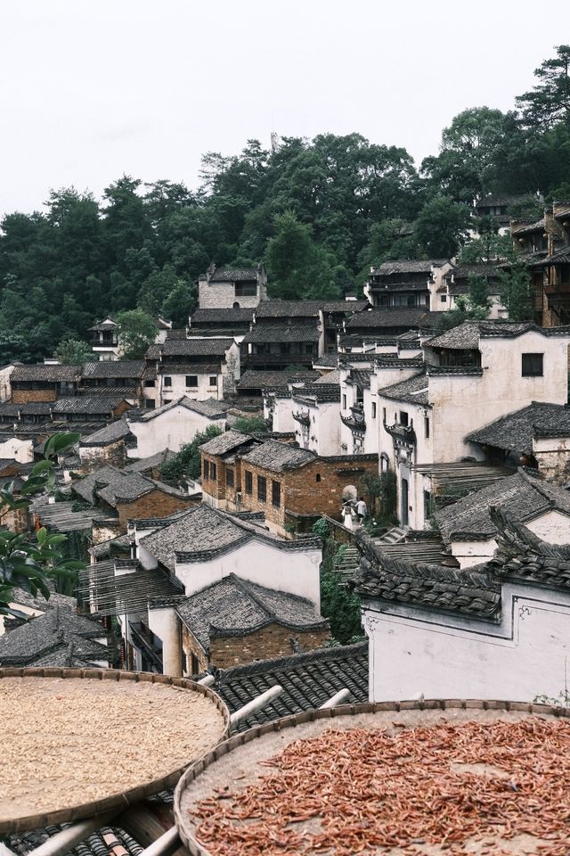 最美鄉村|婺源篁嶺7小時CountryWalk旅遊攻略 最美鄉村|婺源篁嶺7小時CountryWalk旅遊攻略