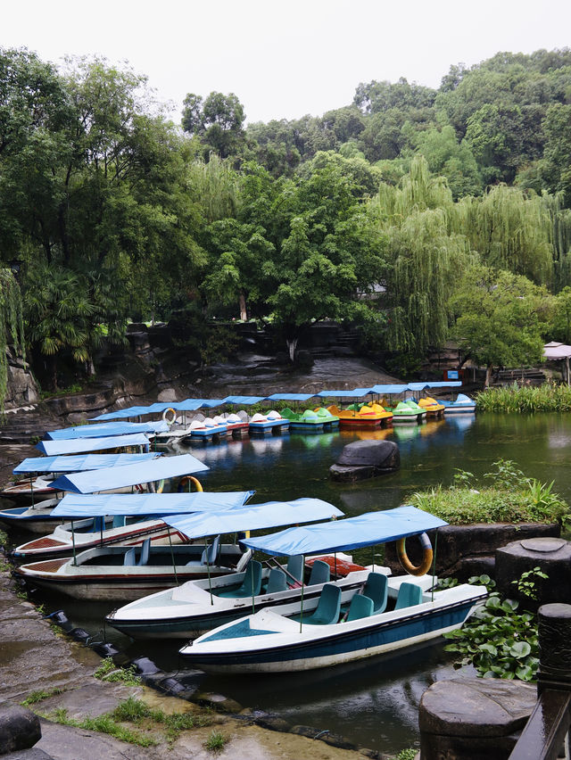 綿陽-這麼好看的公園你不宣傳，你糊塗啊！