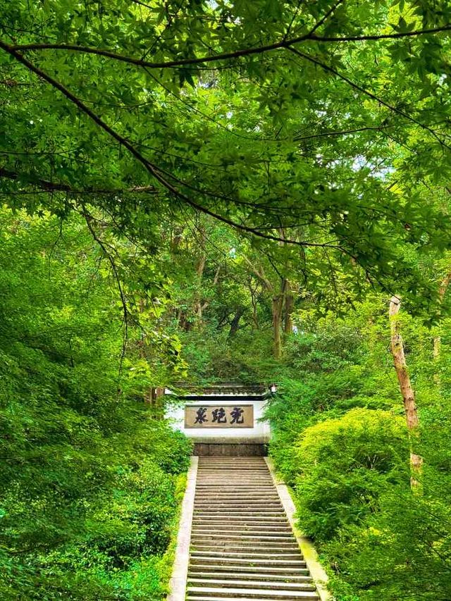 杭州虎跑公園·帶家人邂逅清幽詩意的世外桃源