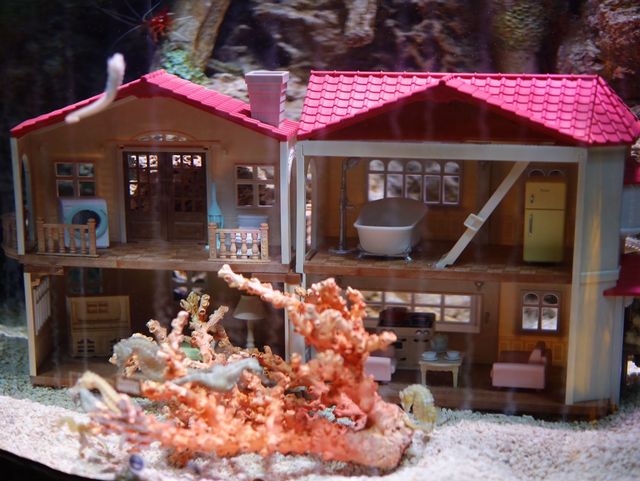 帶娃必去 | 長風海洋世界的“海馬酒店” 帶娃必去 | 長風海洋世界的“海馬酒店”