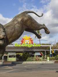 🌟 San Diego's Spectacular Sights: Museums, Zoos & More! 🌊🐬