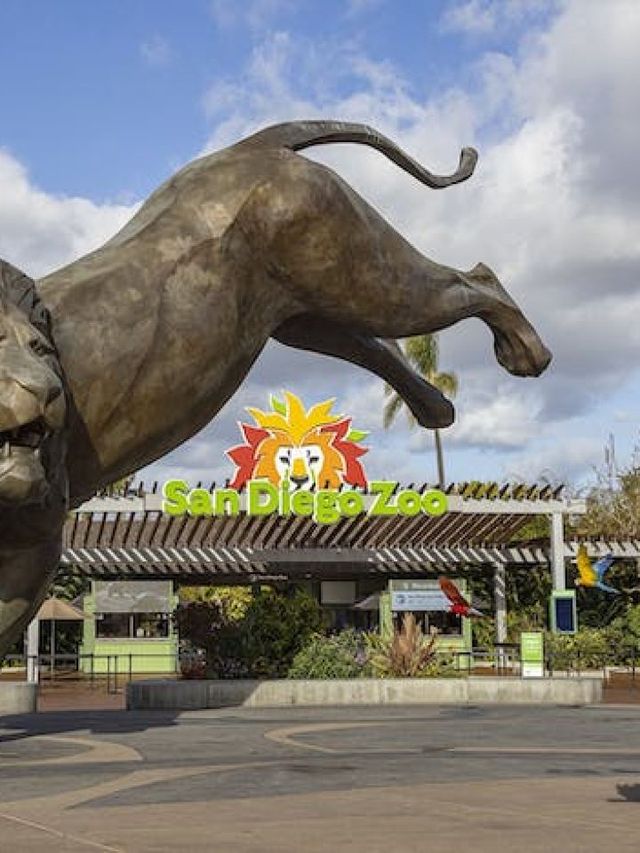 🌟 San Diego's Spectacular Sights: Museums, Zoos & More! 🌊🐬