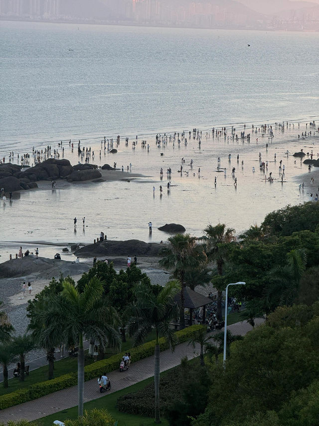 廈門山海步道會懲罰每一個不做攻略的人