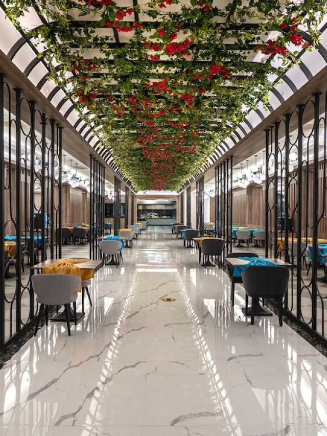 Side's Splendid Stays: Luxe Comforts & Views 🌟🏝️