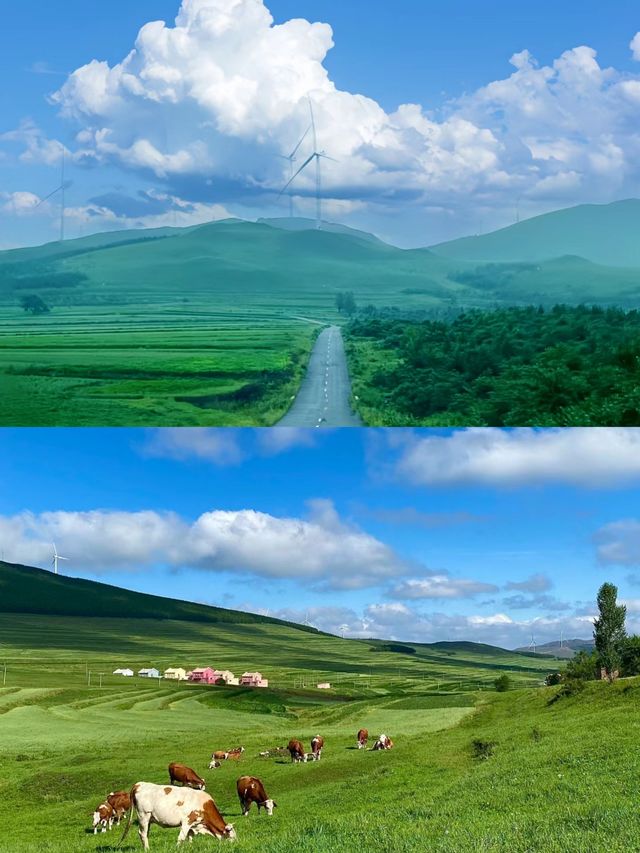 20℃的草原也太美了吧——張北大草原