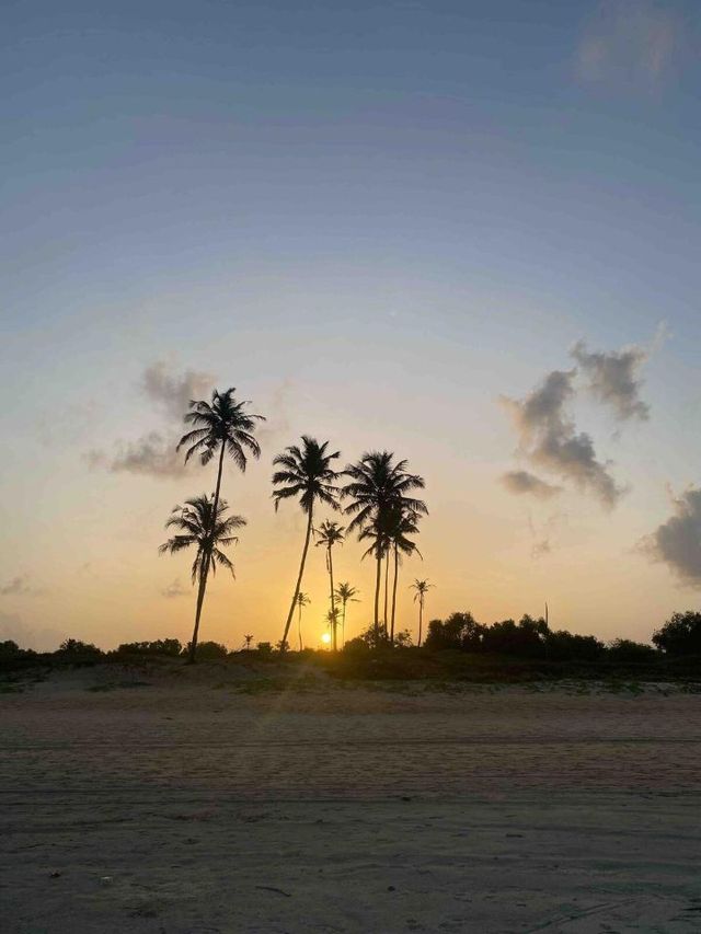 🌴🏖️ Goa's Green Door Villa: Your Beachside Haven! 🌅🍹