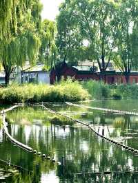 Citywalk 朴野自然 風景優美 西海濕地公園