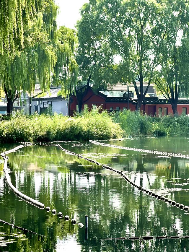 Citywalk 朴野自然 風景優美 西海濕地公園 Citywalk 朴野自然 風景優美 西海濕地公園