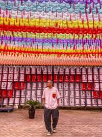 沙田仲有咁超前嘅餐廳...庭院燒烤餐廳喎...