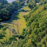 廈門上李水庫公園 | 城市裏的森系公園，去户外徒步、野餐、露营