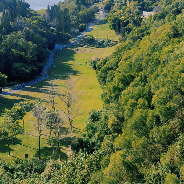 廈門上李水庫公園 | 城市裏的森系公園，去户外徒步、野餐、露营