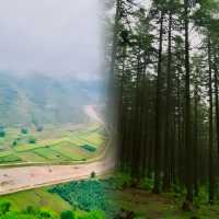 山西旅行｜蘆芽山是山西人的阿勒泰。