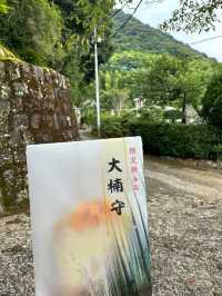 日本遛娃日記 | 佐賀就該這樣玩武雄篇。
