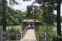 奉賢寶藏公園 | 奉浦四季生態園。
