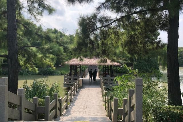 奉賢寶藏公園 | 奉浦四季生態園。