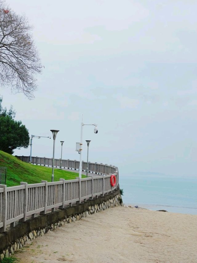 廈門｜不能錯過的海邊散心路線