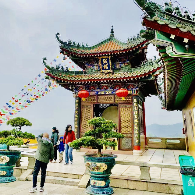 種草珠海金臺寺啦