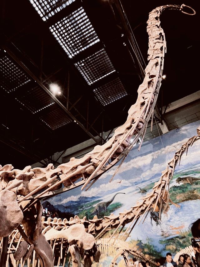 自貢恐龍博物館遊覽全攻略。
