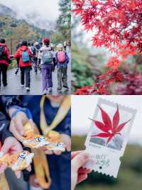千人奔赴～臥龍川北營參加徒步登山節。